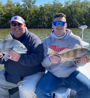 Black Drum Caught from Mosquito Lagoon, FL